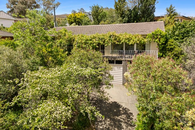 55 Birdwood Street, ACT 2605