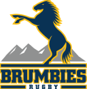 Logo of the Rugby team Brunbies
